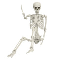 Life Size Poseable Skeleton V314437