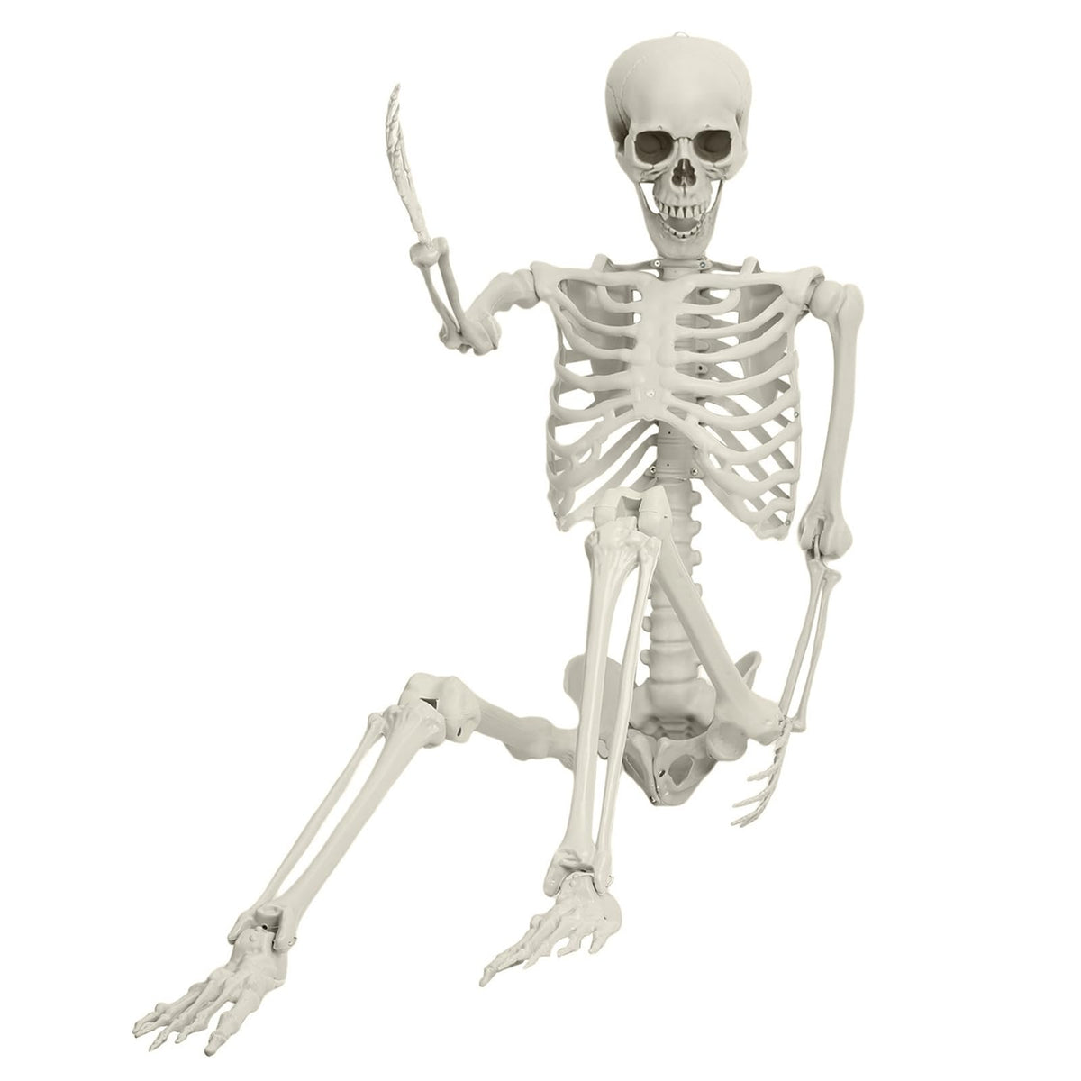 Life Size Poseable Skeleton V314437