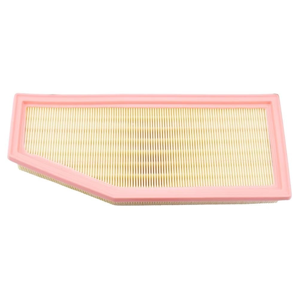 Engine Air Filter Service Kit P77159