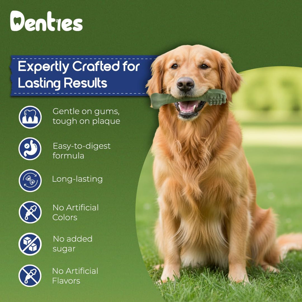 Dental Chews for Dogs 16oz 10 Count U3320