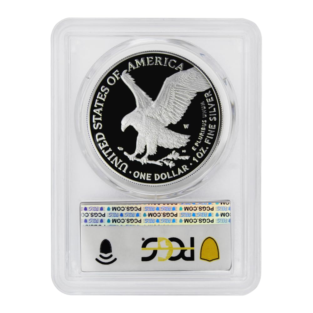 1 oz American Silver Eagle Coin U33456