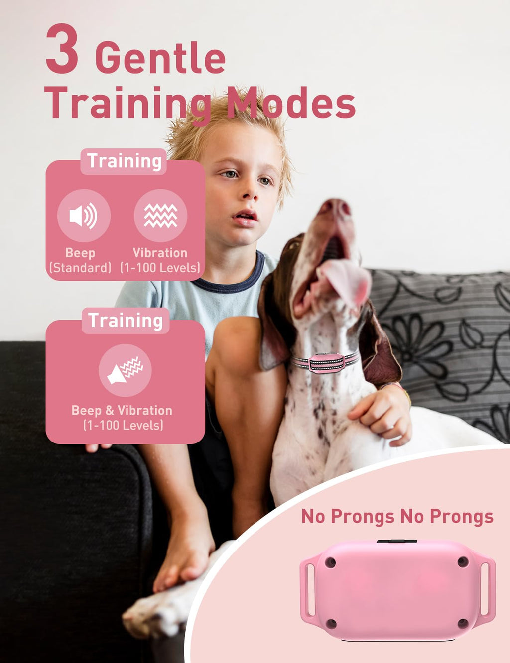 Beep and Vibrating Dog Collar with Remote R659