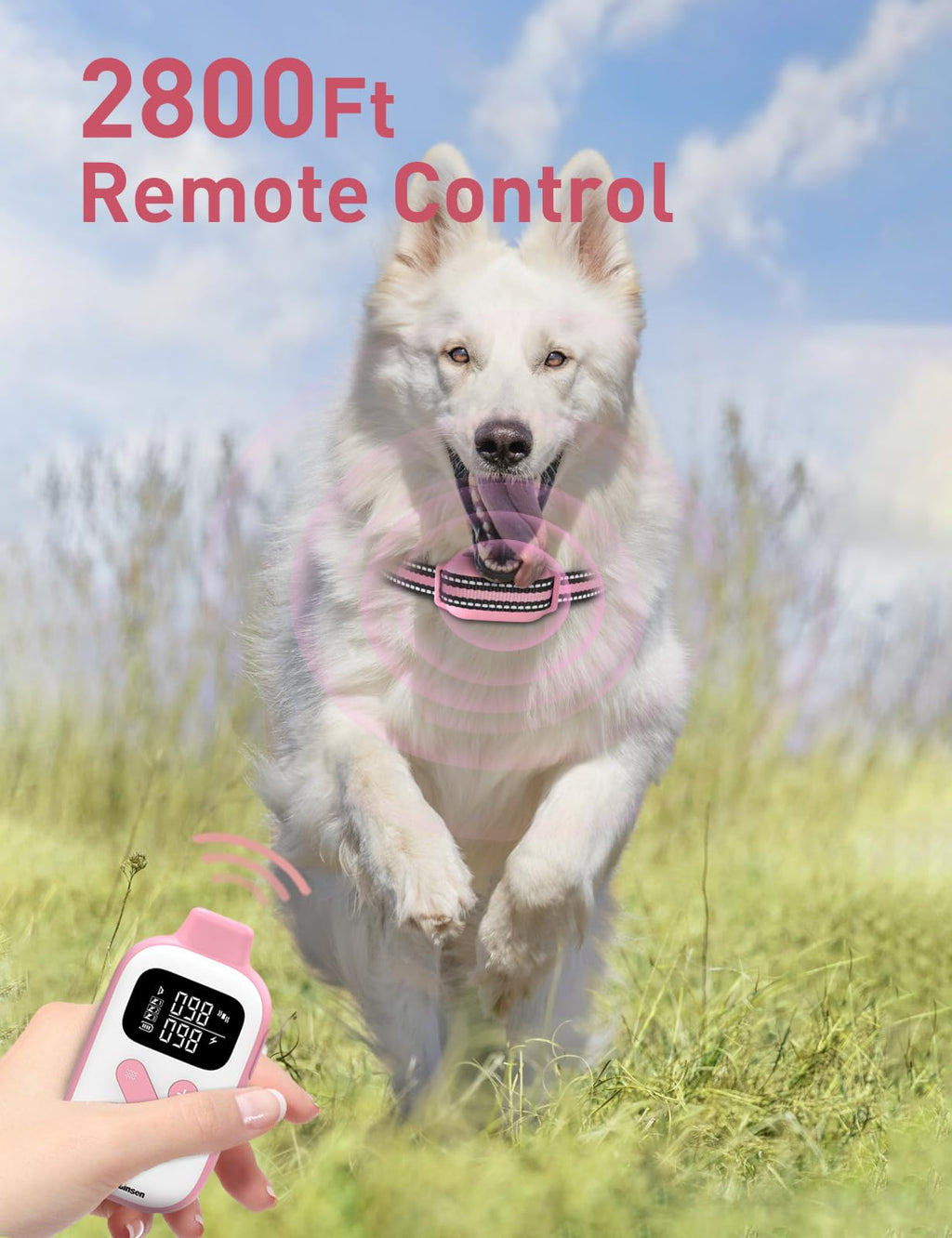 Beep and Vibrating Dog Collar with Remote R659