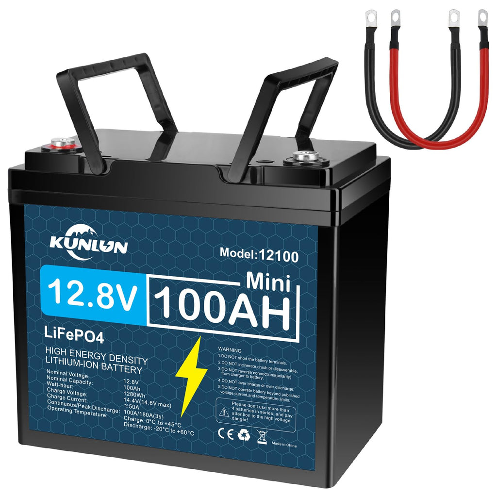 12V 100Ah LiFePO4 Battery N420689