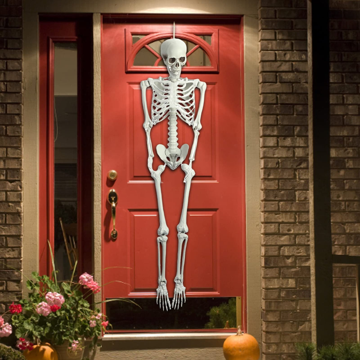 Life Size Poseable Skeleton V314437