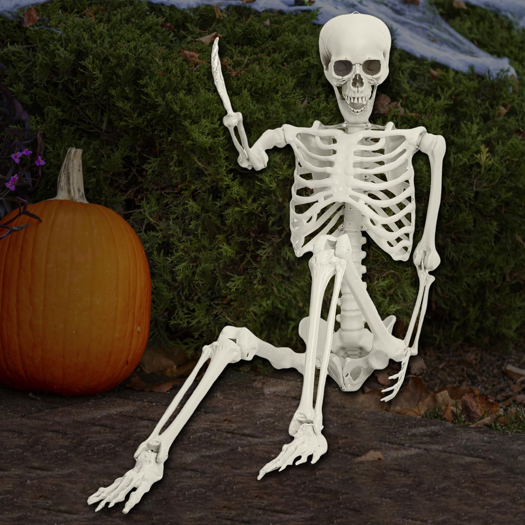 Life Size Poseable Skeleton V314437