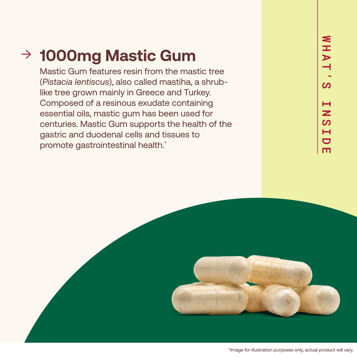 Mastic Gum 1000mg 60 Capsules H728