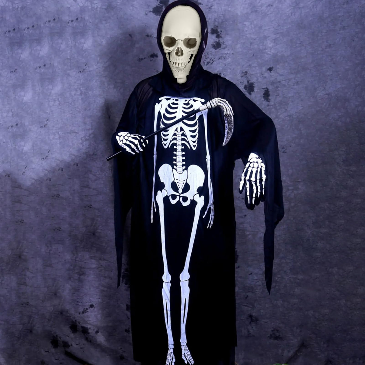 Life Size Poseable Skeleton V314437