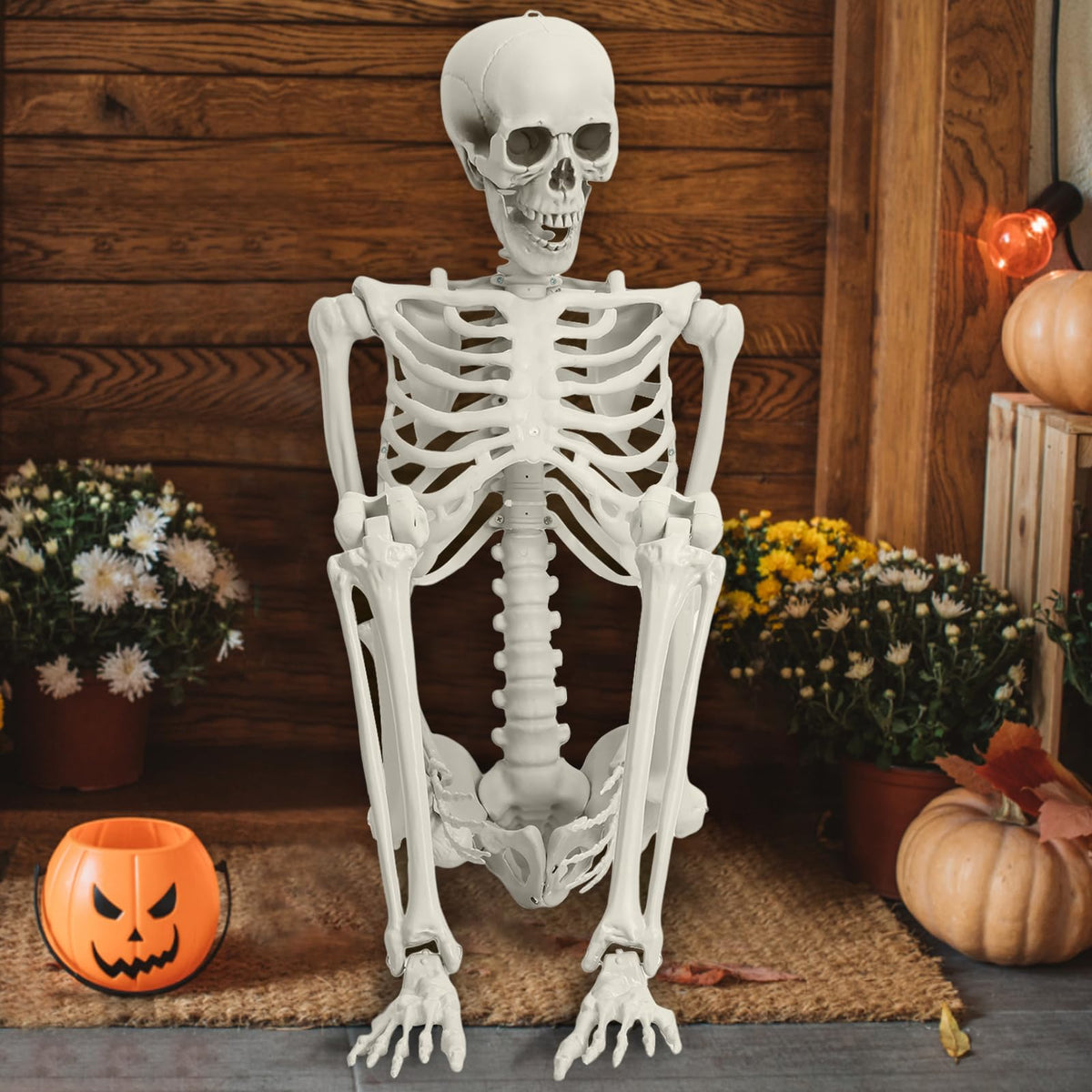 Life Size Poseable Skeleton V314437