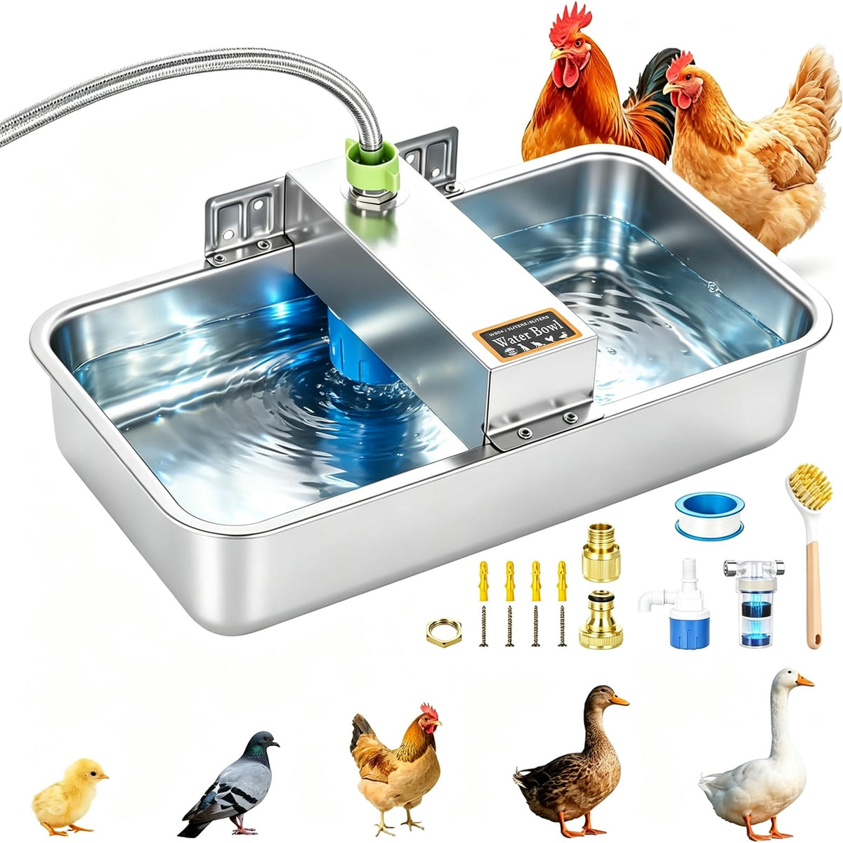 3 Gallon Stainless Steel Chicken Waterer C582383