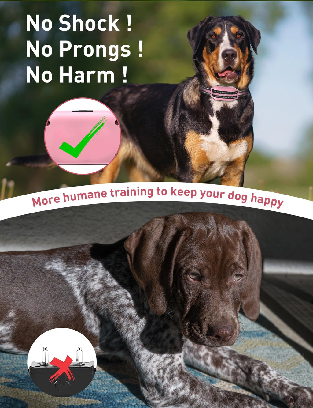 Beep and Vibrating Dog Collar with Remote R659