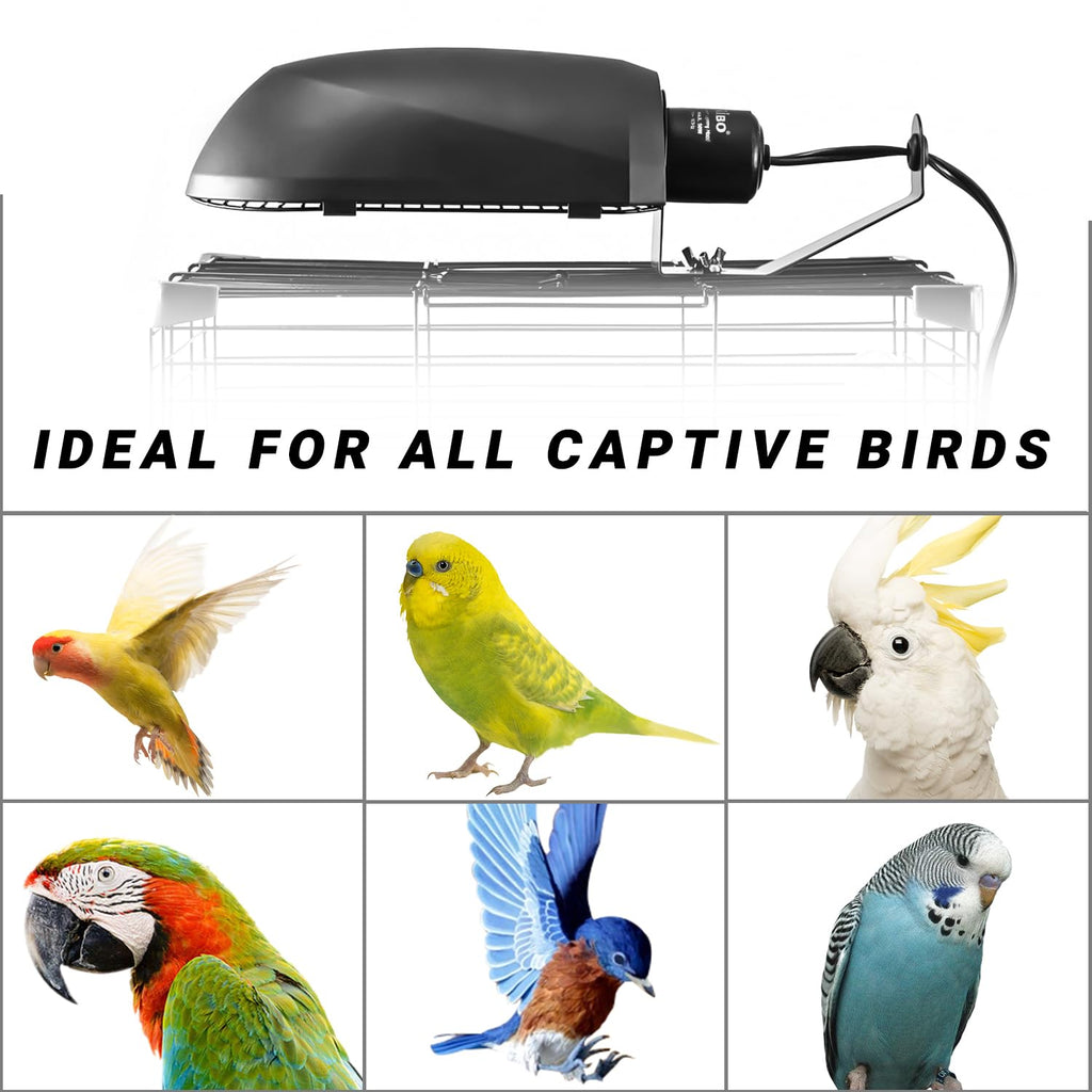 Bird Cage Light Fixture Combo Kit, 2.4% UVB UVA 20W Compact Fluorescent Bulb J454