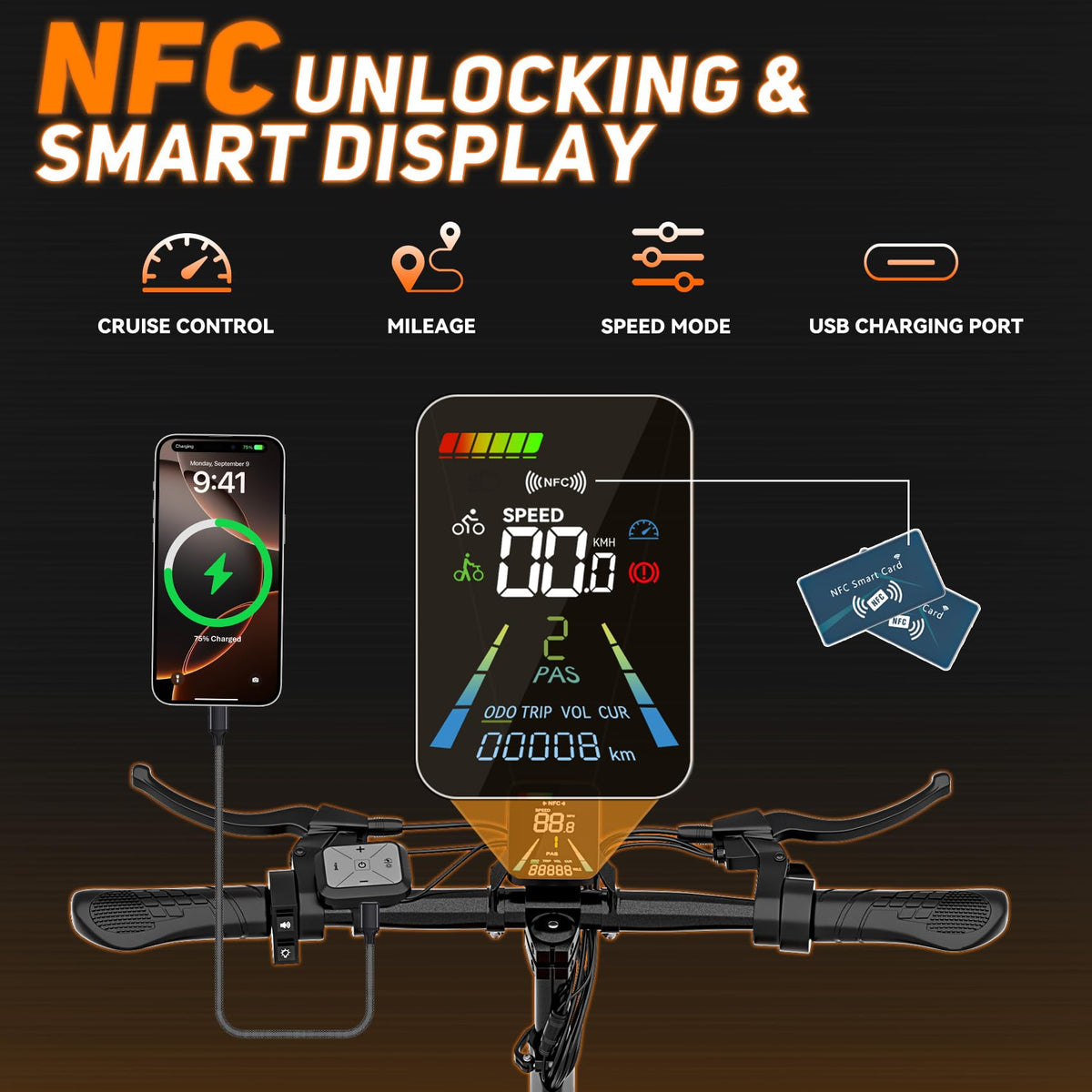 800W Motor 25 Miles Long Range Electric Scooter P2552
