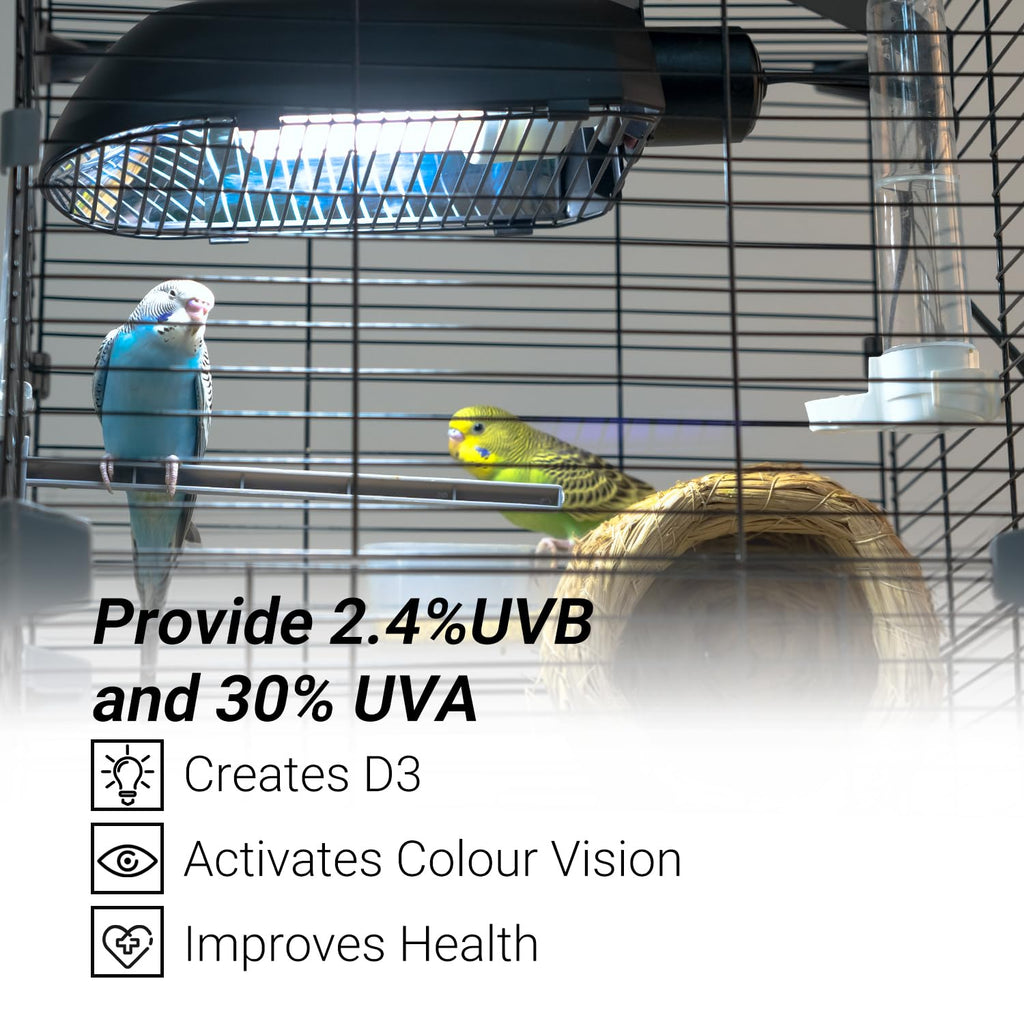 Bird Cage Light Fixture Combo Kit, 2.4% UVB UVA 20W Compact Fluorescent Bulb J454