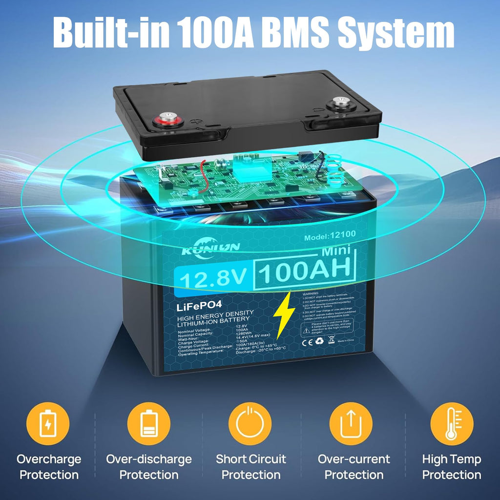 12V 100Ah LiFePO4 Battery N420689