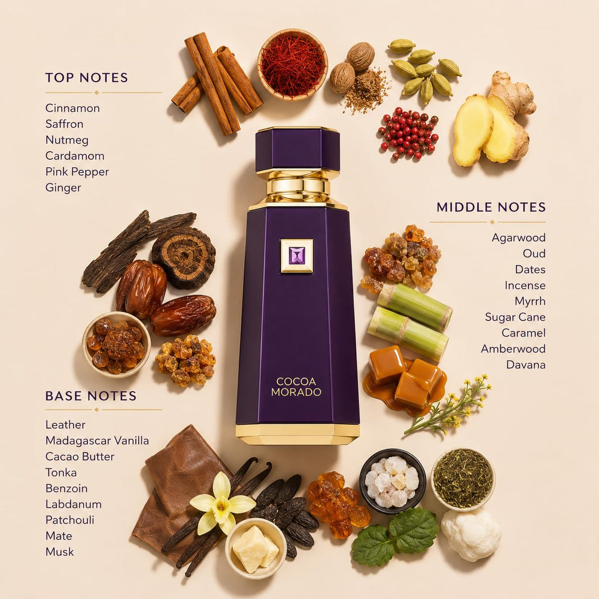 Cocoa Morado EDP 100ml U254362