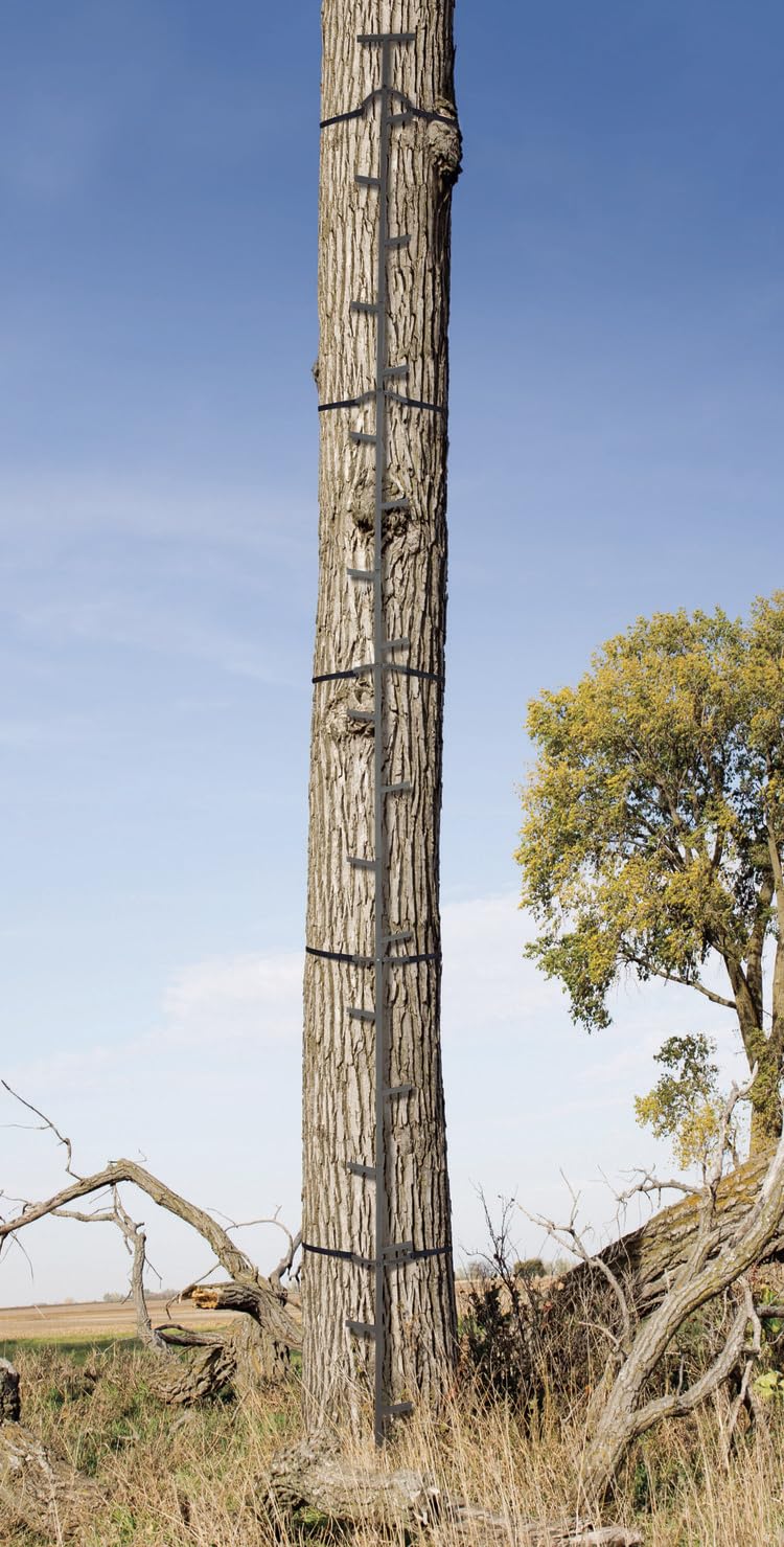 Quick-Stick Climbing System 20ft Reach U843