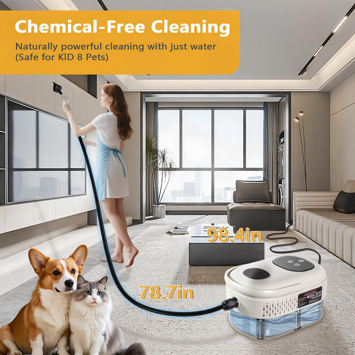 Handheld Steam Cleaner U539