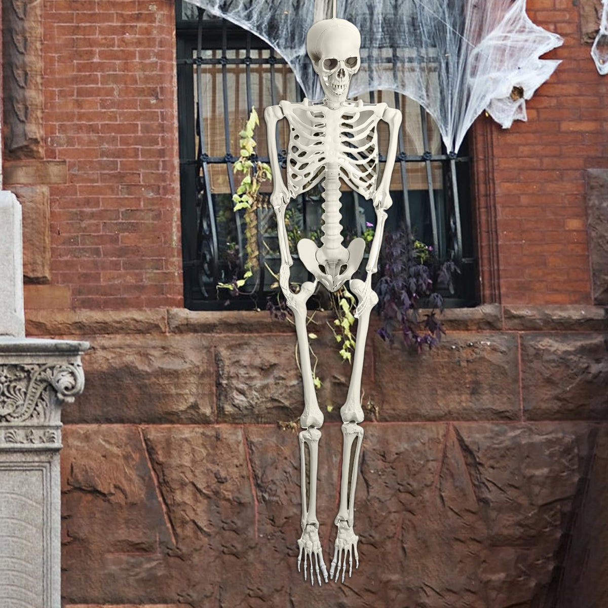 Life Size Poseable Skeleton V314437