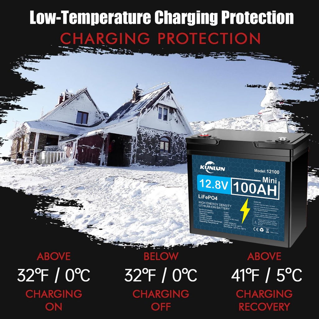 12V 100Ah LiFePO4 Battery N420689