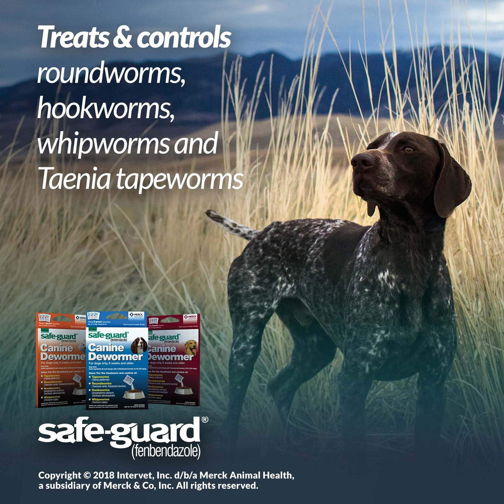 Canine Dewormer 1gm pouch T279687