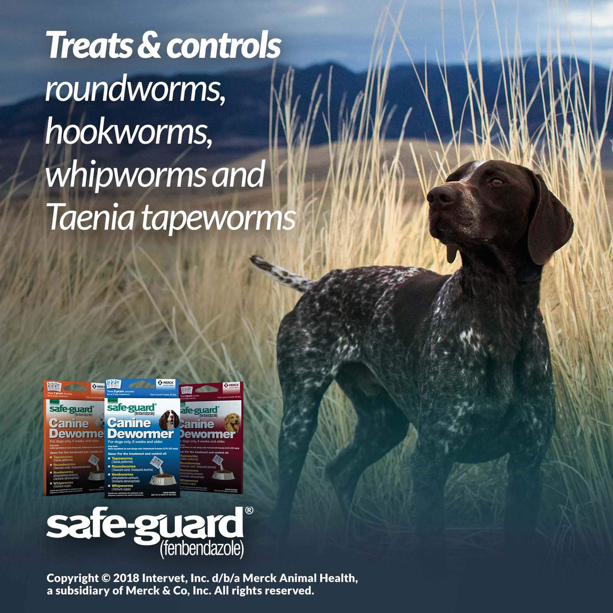 Canine Dewormer 1gm pouch T279687