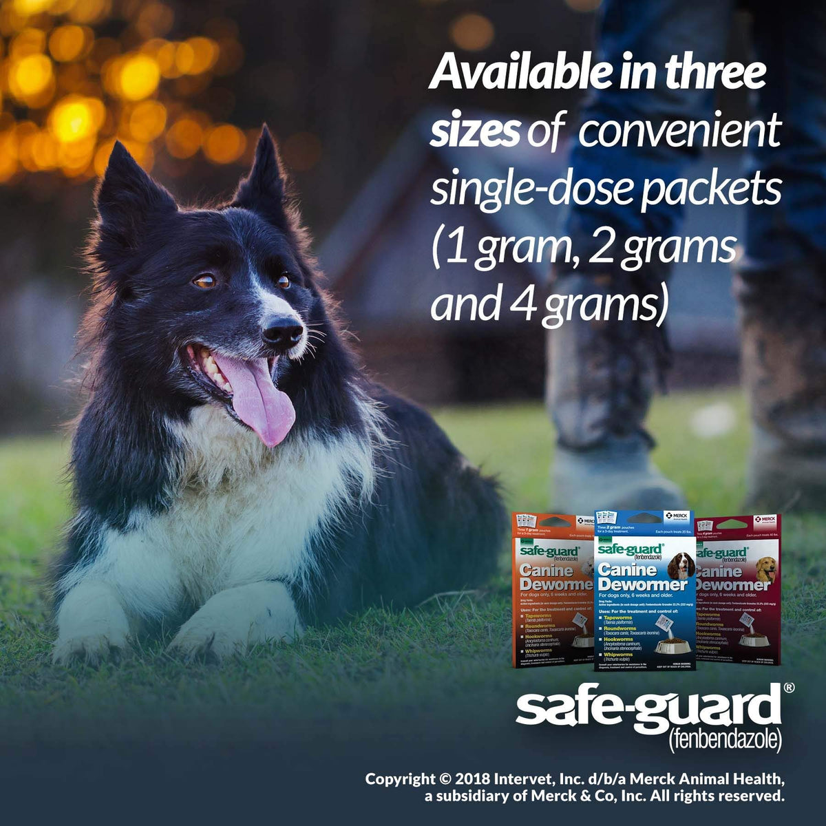 Canine Dewormer 1gm pouch T279687