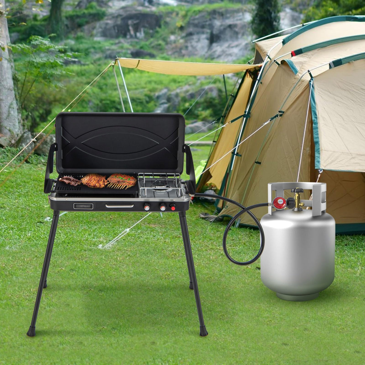 2-Burner Camping Stove with Removable Leg Stand S658056